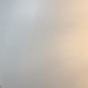 Meet your Posher, Maddy